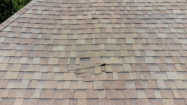 Roof Leak Inspection in Suwanee