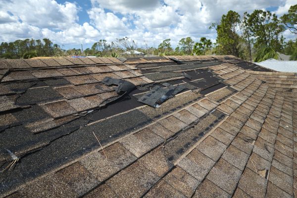 Roof Damage Repair in Suwanee