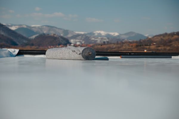 Tpo Roof Coating Service in Suwanee