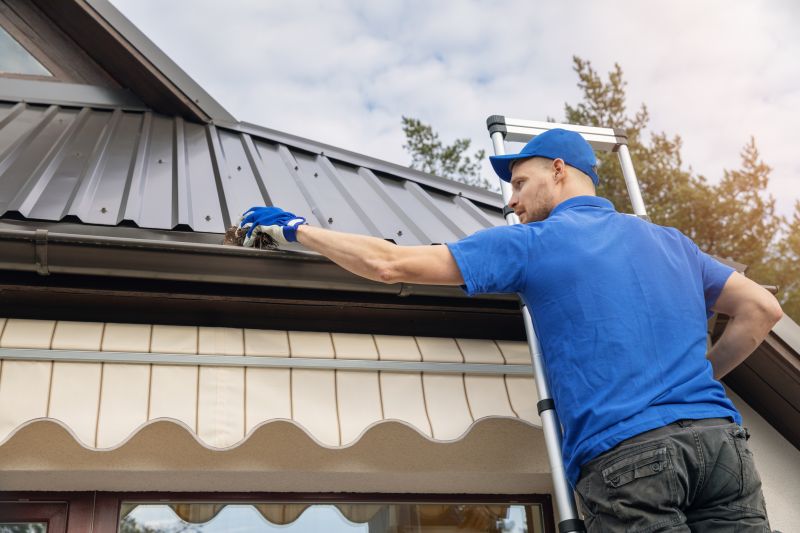 Gutter and Roof System Cleaning